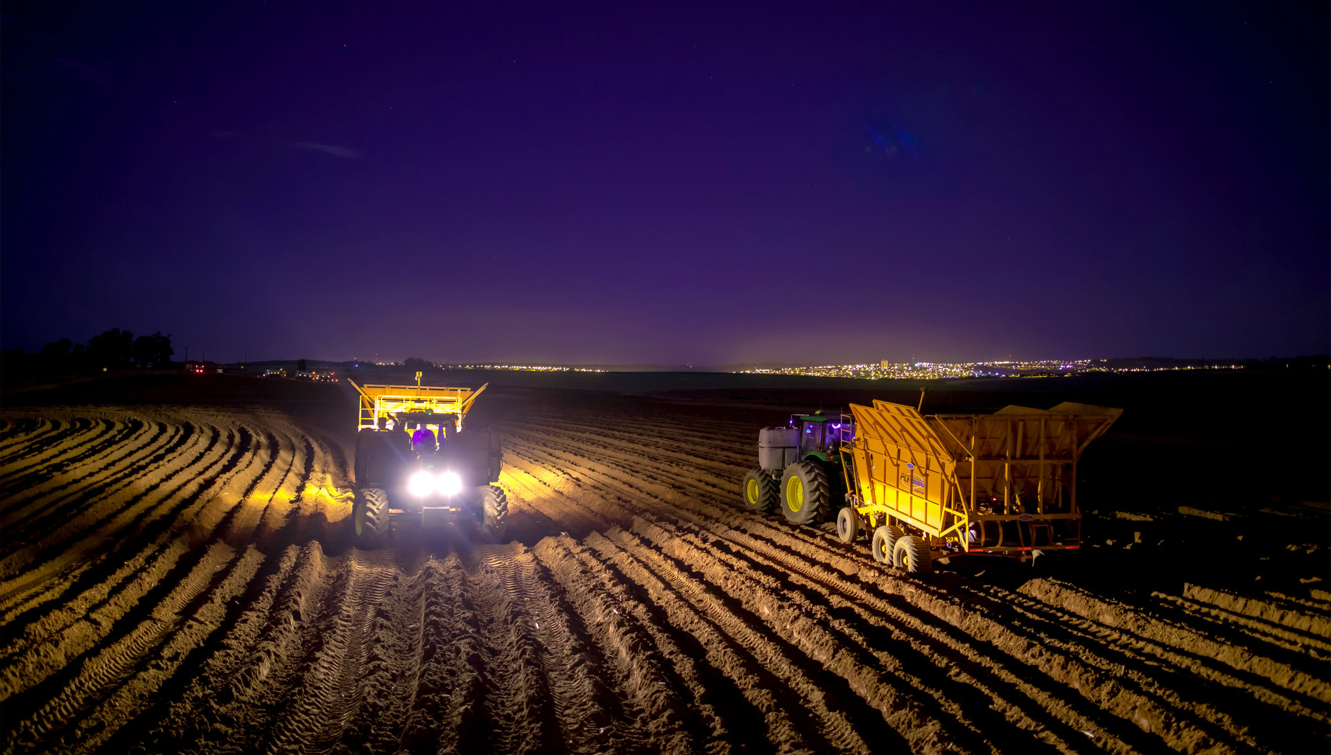 Campo Noite