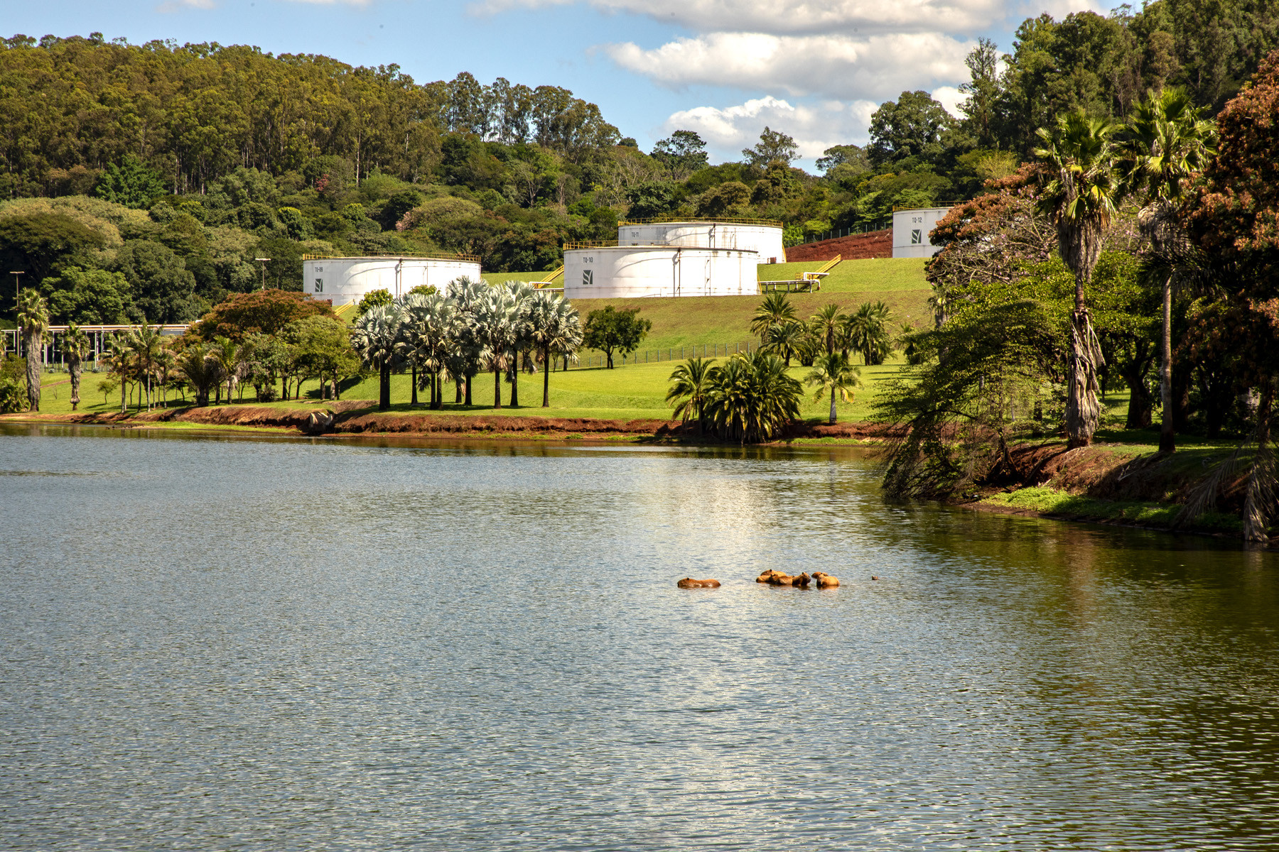 Parque de Etanol